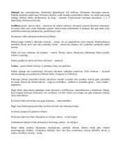 Lietuvių kalba - konspektas 11 puslapis