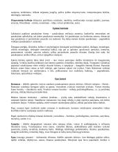 Lietuvių kalba - konspektas 3 puslapis