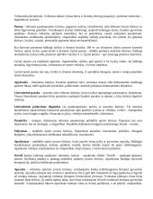 Lietuvių kalba - konspektas 4 puslapis