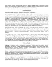 Lietuvių kalba - konspektas 5 puslapis