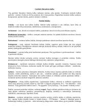 Lietuvių kalba - konspektas 7 puslapis