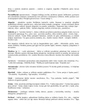 Lietuvių kalba - konspektas 8 puslapis