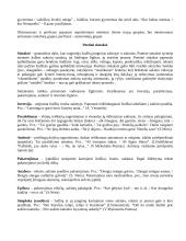 Lietuvių kalba - konspektas 9 puslapis