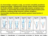 Sirenomelia 4 puslapis
