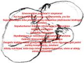 Sirenomelia 6 puslapis