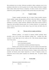 Derybinės galios formavimo privalumai ir trūkumai. 7 puslapis