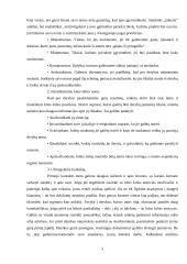 Derybinės galios formavimo privalumai ir trūkumai. 9 puslapis