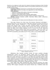 Išmaniųjų technologijų poveikis studijų aplinkai 2 puslapis