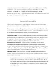 Referatas. Smurtas prieš vaikus 5 puslapis