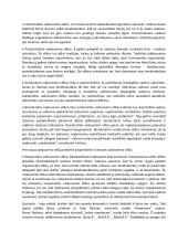 Startuolio vadovo veiklos stilius 3 puslapis