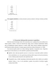 Išmaniojo manekeno įdiegimo atsiperkamumo analizė 12 puslapis