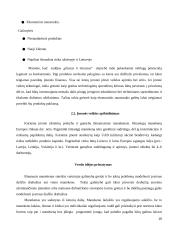 Išmaniojo manekeno įdiegimo atsiperkamumo analizė 16 puslapis