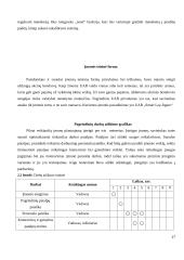 Išmaniojo manekeno įdiegimo atsiperkamumo analizė 17 puslapis