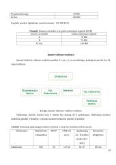 Išmaniojo manekeno įdiegimo atsiperkamumo analizė 19 puslapis