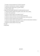 Išmaniojo manekeno įdiegimo atsiperkamumo analizė 4 puslapis