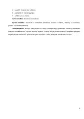 Išmaniojo manekeno įdiegimo atsiperkamumo analizė 6 puslapis