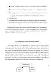 Išmaniojo manekeno įdiegimo atsiperkamumo analizė 8 puslapis