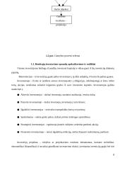 Išmaniojo manekeno įdiegimo atsiperkamumo analizė 9 puslapis