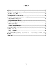 Socialinių įmonių atsiradimo tendencijos 2 puslapis