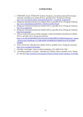 Socialinių įmonių atsiradimo tendencijos 13 puslapis