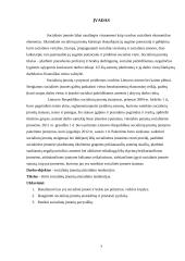 Socialinių įmonių atsiradimo tendencijos 3 puslapis