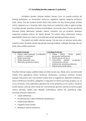 Socialinių įmonių atsiradimo tendencijos 4 puslapis