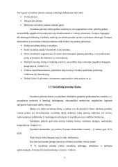 Socialinių įmonių atsiradimo tendencijos 5 puslapis