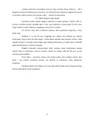 Socialinių įmonių atsiradimo tendencijos 8 puslapis