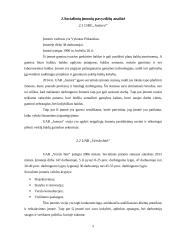 Socialinių įmonių atsiradimo tendencijos 9 puslapis