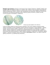 Ląstelė – gyvybės pagrindas 18 puslapis