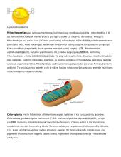 Ląstelė – gyvybės pagrindas 3 puslapis