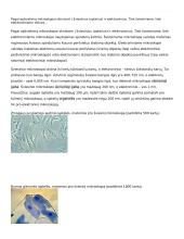 Ląstelė – gyvybės pagrindas 6 puslapis