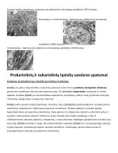 Ląstelė – gyvybės pagrindas 7 puslapis