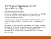 Pirmosios instancijos teismo sprendimai, nutartys ir rezoliucijos 12 puslapis