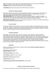 Informatikos egzamino konspektas 13 puslapis