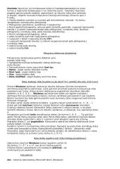 Informatikos egzamino konspektas 6 puslapis