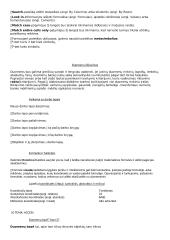 Informatikos egzamino konspektas 10 puslapis