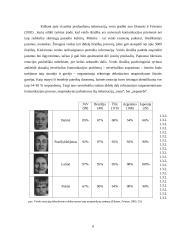 Neverbalinės komunikacijos referatas 8 puslapis