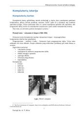 Referatas apie mikroprocesorius