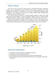 Referatas apie mikroprocesorius 12 puslapis