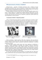 Referatas apie mikroprocesorius 5 puslapis