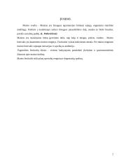 Populiariausi maisto festivaliai pasaulyje 3 puslapis