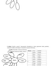 Tyrimas: žodžių susietumas – asociacijos, subjektyvus vertinimas, kolokacinis dažnumas žiniatinklyje 8 puslapis