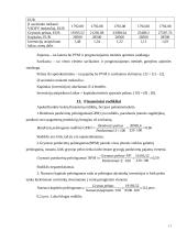 Verslo planas IĮ "Doori" 11 puslapis