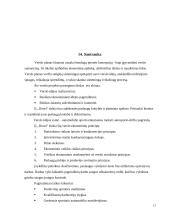 Verslo planas IĮ "Doori" 12 puslapis