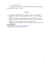 Verslo planas IĮ "Doori" 13 puslapis