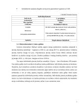 Verslo planas IĮ "Doori" 3 puslapis