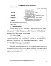 Verslo planas IĮ "Doori" 4 puslapis