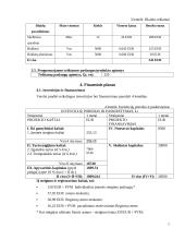 Verslo planas IĮ "Doori" 5 puslapis