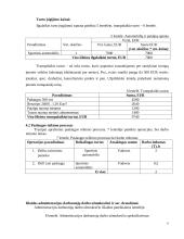 Verslo planas IĮ "Doori" 6 puslapis